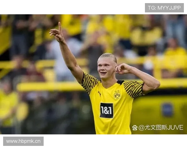 弗拉霍维奇与哈兰德:终结型射手的级别差异解析 弗拉霍维奇与哈兰德:终结型射手的级别差异解析